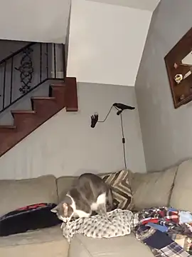 mattiethebaddieee online show from 21, 3, 2026