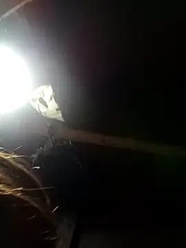 Snapshot of bella-la chatting on 9, 2, 2026 bella-la online show from 9, 2, 2026