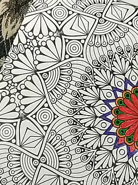 bigtelugubhama online show from 15, 11, 2025