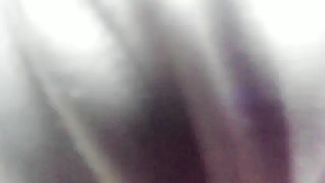 Snapshot of wild_best chatting on 16, 2, 2026 wild best online show from 16, 2, 2026