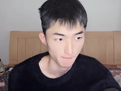 N228 online show from 9, 11, 2025