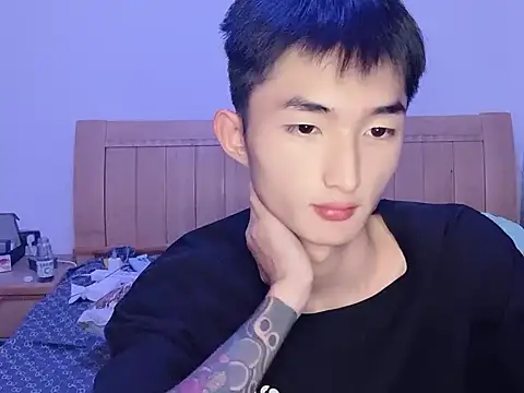 N228 online show from 9, 11, 2025