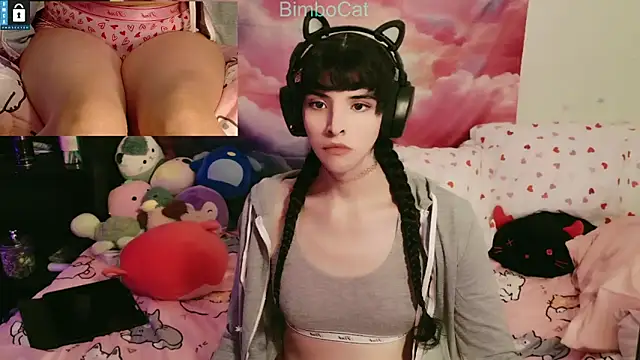 BimboCat online show from 31, 10, 2025