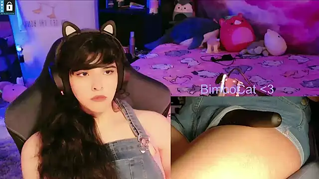 BimboCat online show from 11, 2, 2026