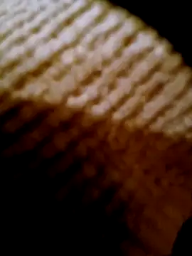 pino870 online show from 17, 2, 2026