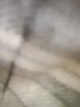 Pallu Asha online show from 1, 3, 2026