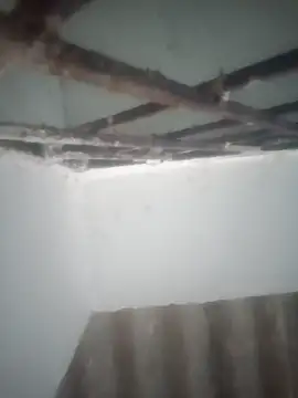 Pallu Asha online show from 19, 3, 2026