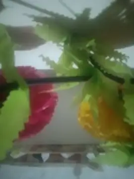 Pallu Asha online show from 22, 3, 2026