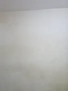 negramenta online show from 15, 1, 2026