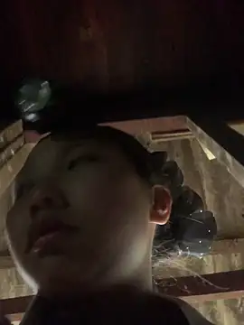 bi-bo123 online show from 14, 12, 2025