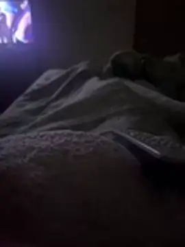 gatitaamelosaa7 online show from 24, 2, 2026