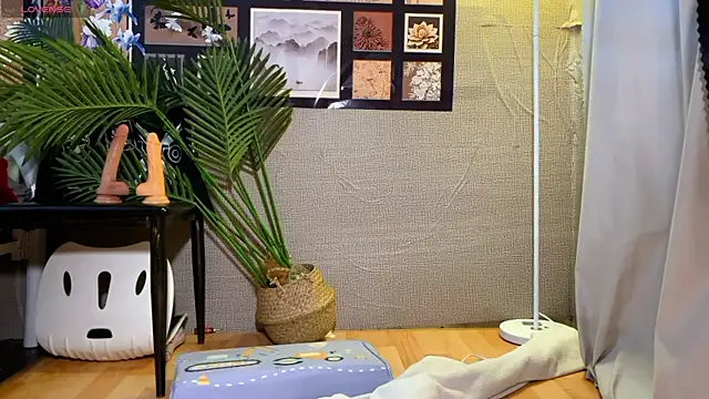 0xiaosu0 online show from 16, 1, 2026