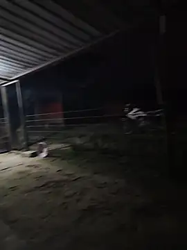 Snapshot of taylor1991V chatting on 1, 12, 2025 taylor1991V online show from 1, 12, 2025