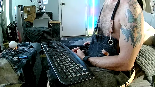 biswvaseth online show from 22, 6, 2026