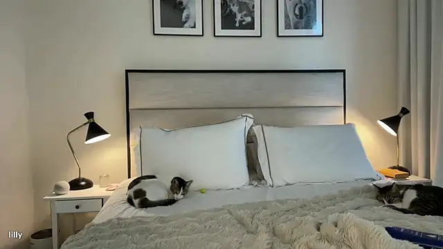 Itslillybloom online show from 7, 11, 2025