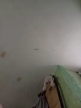 Snapshot of Misiek11123 chatting on 2, 11, 2025 Misiek11123 online show from 2, 11, 2025