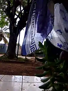 Snapshot of moreninho564 chatting on 25, 11, 2025 moreninho564 online show from 25, 11, 2025