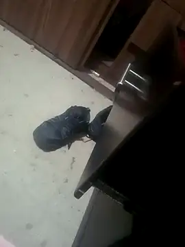 Snapshot of Yerackhip chatting on 17, 1, 2026 Yerackhip online show from 17, 1, 2026