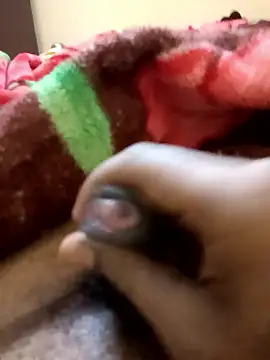 tamal2511 online show from 12, 1, 2026