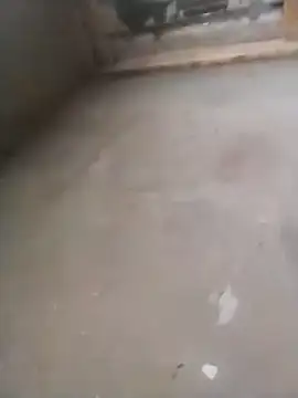 Lollittaxxxx2 online show from 11, 11, 2025