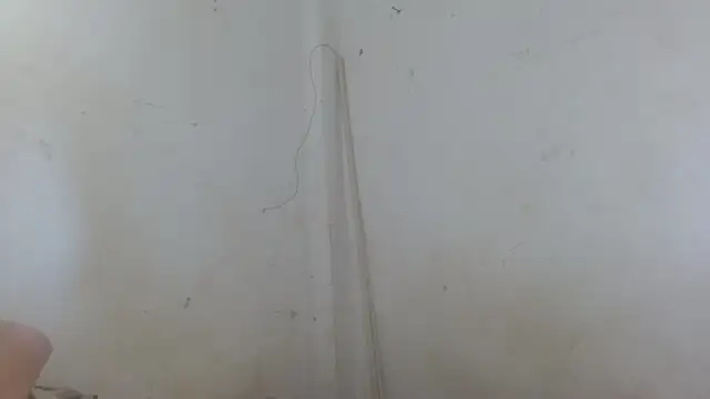 the breasts of desir  online show from 11, 11, 2025