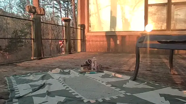 Snapshot of 2099RivenXXX chatting on 28, 2, 2026 2099RivenXXX online show from 28, 2, 2026