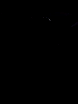 john12-931 online show from 21, 11, 2025