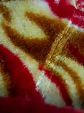 sangeeta lodhi online show from 28, 11, 2025