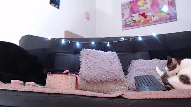 valery carter01 online show from 17, 2, 2026