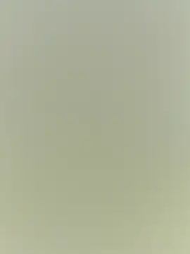 Rouse hot  online show from 20, 12, 2025