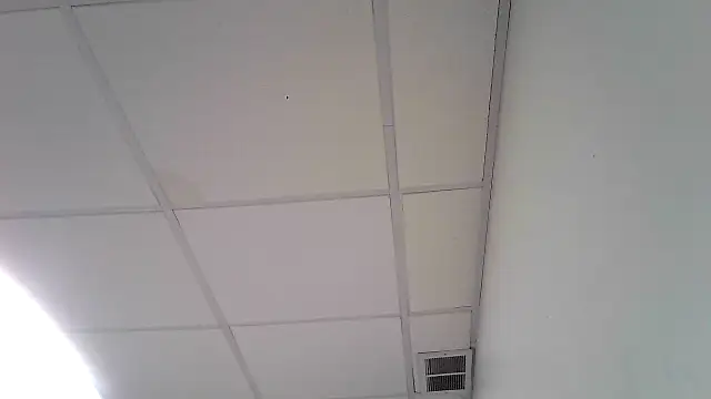 Redheadstud online show from 6, 3, 2026