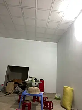 pitty mymi online show from 17, 3, 2026