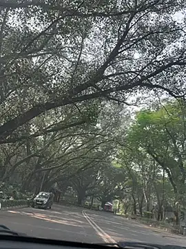 Snapshot of sexyayeshadesi chatting on 20, 11, 2025 sexyayeshadesi online show from 20, 11, 2025