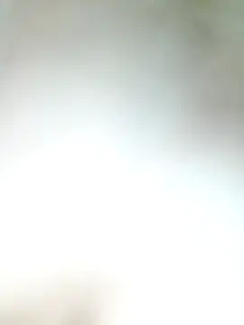 Snapshot of Pxrani chatting on 17, 11, 2025 Pxrani online show from 17, 11, 2025