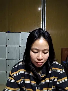 Cat-meow online show from 19, 2, 2026