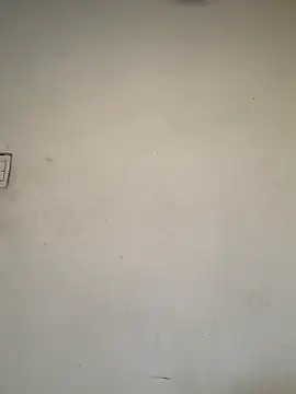 Dannii- online show from 28, 2, 2026