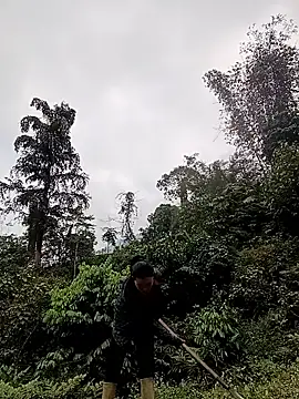 meomeo-00 online show from 18, 3, 2026