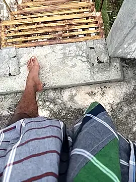 tamilbbc1 online show from 28, 11, 2025