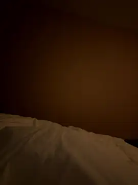 case2497 online show from 6, 1, 2026