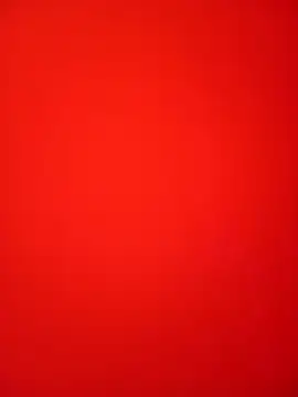 Bold Quinn online show from 12, 2, 2026