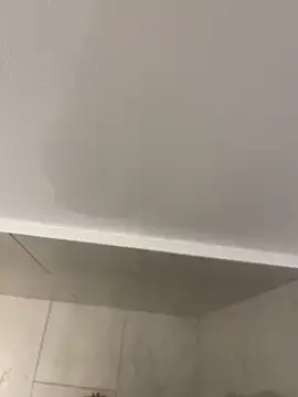 Snapshot of Maia0823 chatting on 21, 11, 2025 Maia0823 online show from 21, 11, 2025