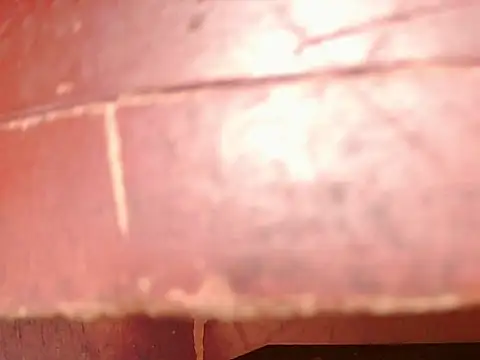 ashleey palmer online show from 26, 11, 2025