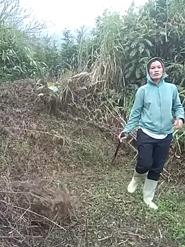 nangmo online show from 5, 3, 2026