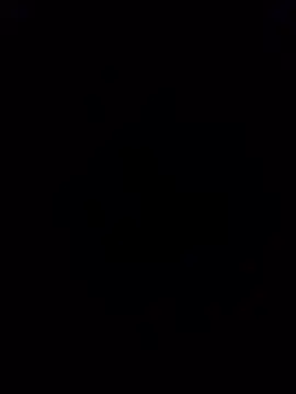 rikikri online show from 4, 2, 2026