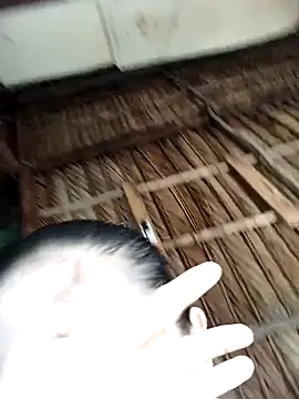 Lin-kute98 online show from 9, 2, 2026