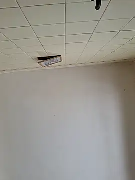 Snapshot of wakahoe chatting on 22, 3, 2026 wakahoe online show from 22, 3, 2026