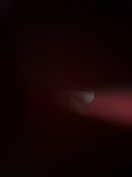 Snapshot of PartiedOmelet chatting on 24, 11, 2025 PartiedOmelet online show from 24, 11, 2025