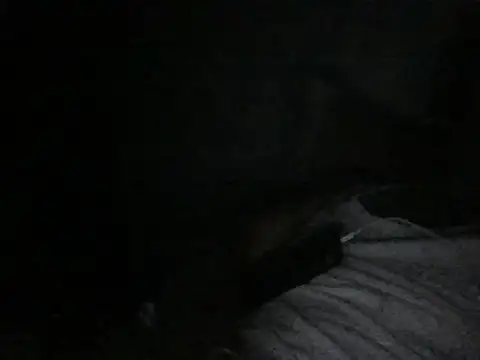 modiji 999 online show from 5, 3, 2026