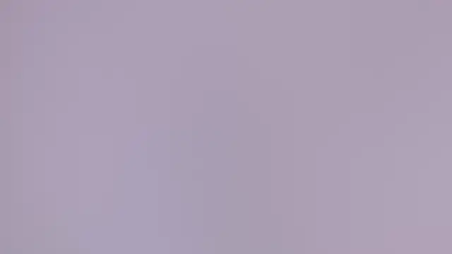 Snapshot of LT-333 chatting on 6, 6, 2026 LT-333 online show from 6, 6, 2026