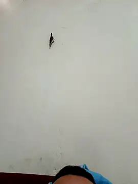 big16cmx online show from 26, 11, 2025